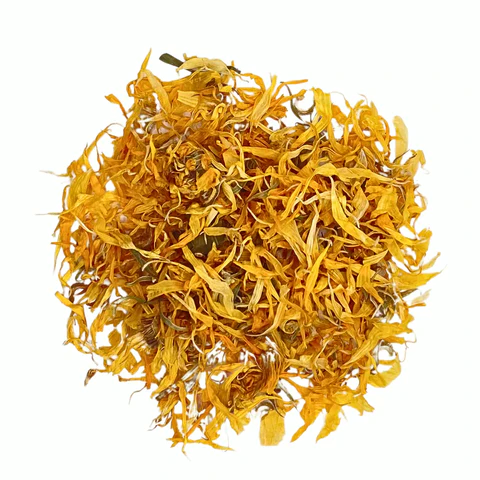 Calendula