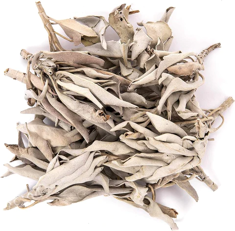 White Sage