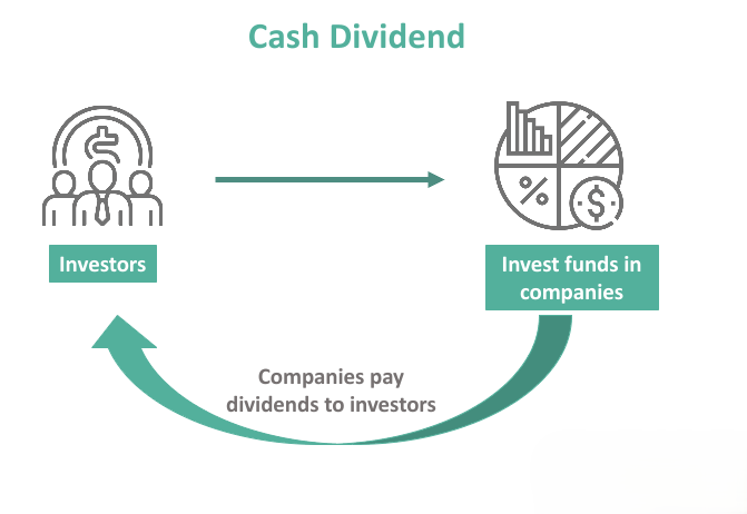 What Is a Cash Dividend