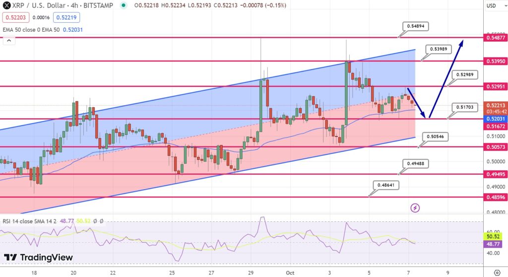 XRP Price Prediction $500