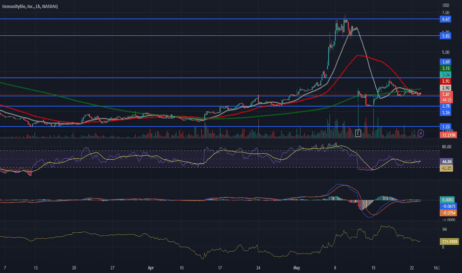 IBRX Stock Price Live